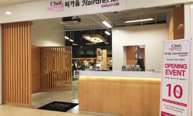 Choi Gaeul Hairdresser Singapore 최가을 헤어드레서 싱가포르