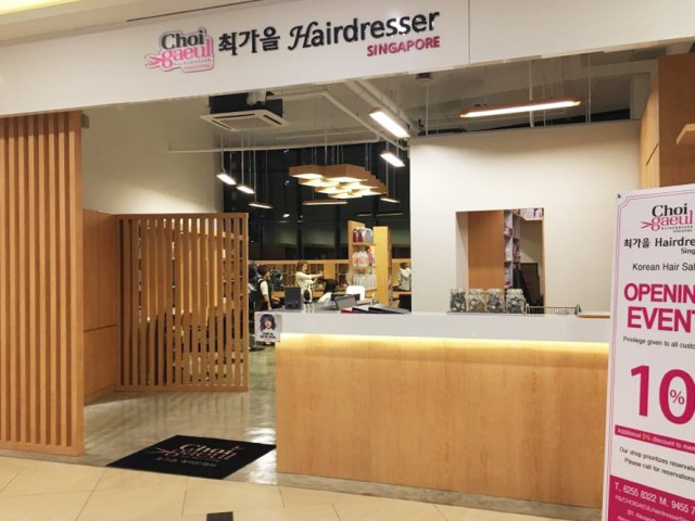 Choi Gaeul Hairdresser Singapore 최가을 헤어드레서 싱가포르